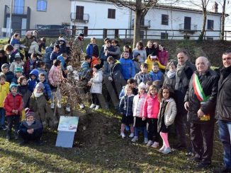 I 30 alberi del bosco incantato di piazza Ferrero donati da Egea ai Comuni del territorio 1