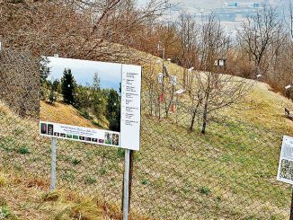 Per osservare la natura da Madonna della pace