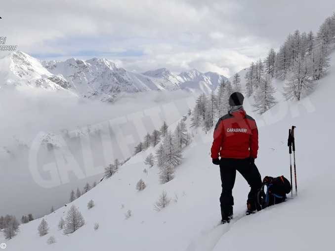 Nel 2019 i Carabinieri forestali hanno fatto sanzioni per quasi 3.5 milioni di euro 3