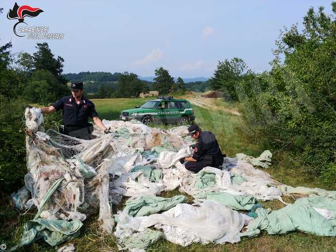 Nel 2019 i Carabinieri forestali hanno fatto sanzioni per quasi 3.5 milioni di euro 5