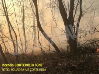 L'incendio al bosco di strada Viarascio a Cortemilia è sotto controllo