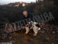 Zuppa “firmata” da Davide Palluda per ringraziare i cani da tartufo 1