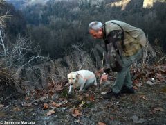 Zuppa “firmata” da Davide Palluda per ringraziare i cani da tartufo 2