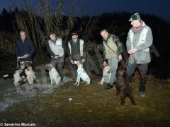 Zuppa “firmata” da Davide Palluda per ringraziare i cani da tartufo 3