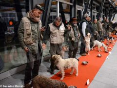 Zuppa “firmata” da Davide Palluda per ringraziare i cani da tartufo 4