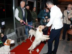 Zuppa “firmata” da Davide Palluda per ringraziare i cani da tartufo 6