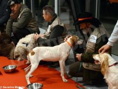 Zuppa “firmata” da Davide Palluda per ringraziare i cani da tartufo 8