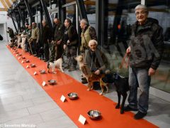 Zuppa “firmata” da Davide Palluda per ringraziare i cani da tartufo 9