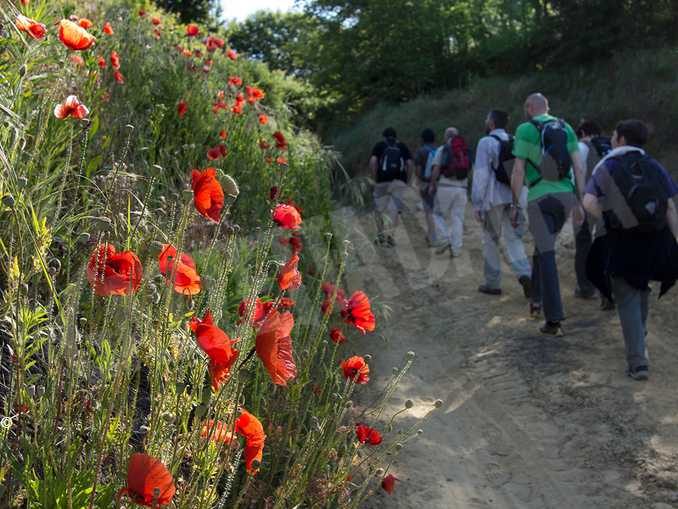 Settantacinque anni dopo, il ricordo della battaglia di Santo Stefano Roero