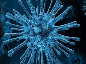 Coronavirus, Canale: il comune ha emesso quattro ordinanze restrittive in vigore da oggi