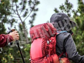 Coronavirus: nel parmense multati per una scampagnata nei boschi