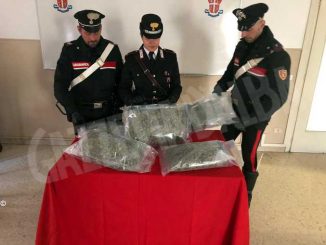 I carabinieri di Ivrea arrestano un corriere delle droga