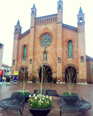 Ad Alba stanno fiorendo i tulipani donati dal castello di Pralormo a gennaio