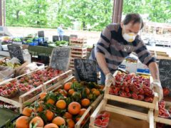 Mercati rionali: Alba è ripartita da piazza Cagnasso, domani piazza San Paolo e Moretta 1