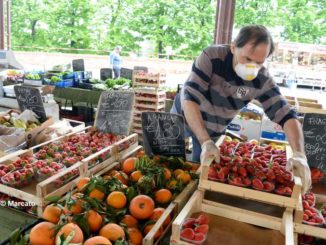 Mercati rionali: Alba è ripartita da piazza Cagnasso, domani piazza San Paolo e Moretta 1