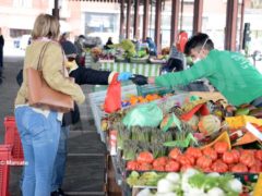 Mercati rionali: Alba è ripartita da piazza Cagnasso, domani piazza San Paolo e Moretta 3