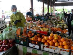 Mercati rionali: Alba è ripartita da piazza Cagnasso, domani piazza San Paolo e Moretta 4