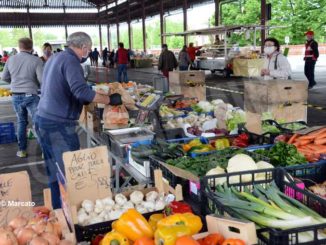 Mercati rionali: Alba è ripartita da piazza Cagnasso, domani piazza San Paolo e Moretta 8