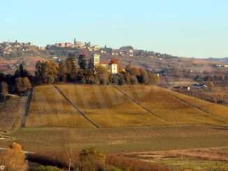 Sono saltate le tradizionali prenotazioni in Langa, Roero, Monferrato e si temono conseguenze pesantissime pure sugli altri mesi dell’anno