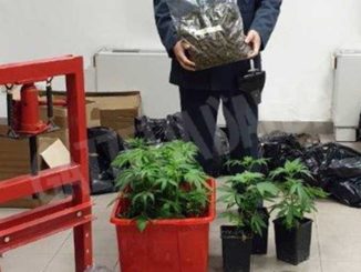 La Finanza sequestra 31 chili di marijuana e scopre, a casa di 4 indagati, 140mila euro in contanti