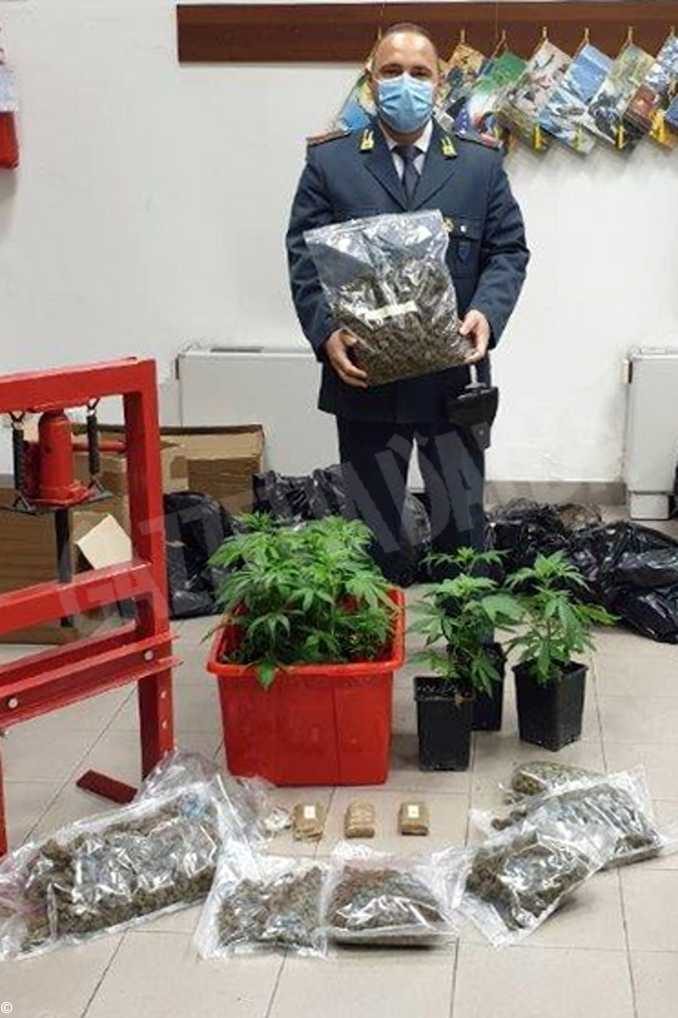 La Finanza sequestra 31 chili di marijuana e scopre, a casa di 4 indagati, 140mila euro in contanti