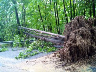 Maltempo: frane e smottamenti sulle strade provinciali, soprattutto nel Saluzzese 1