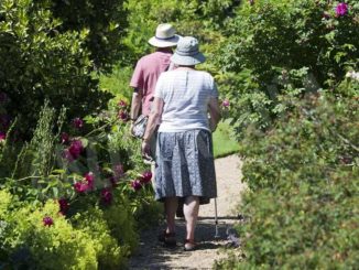 Argento attivo si sposta online per promuovere stili di vita sani tra gli over 60