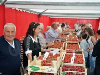 Domenica 31, a Sommariva Perno, il mercato dedicato alla fragola