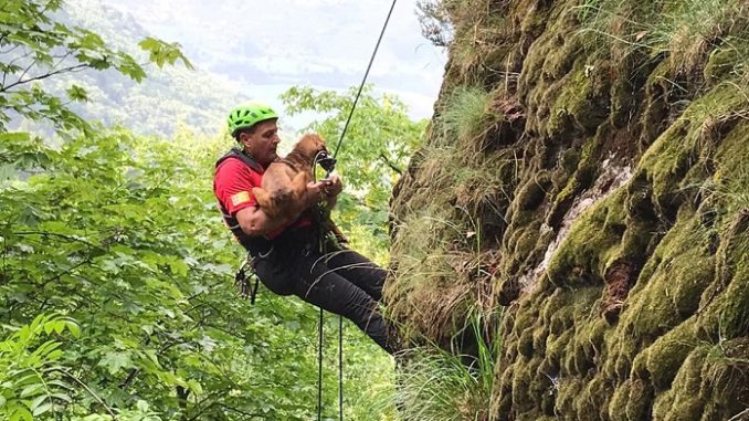 Salvati tre cani dal Soccorso alpino e speleologico piemontese sulle montagne di Quincinetto