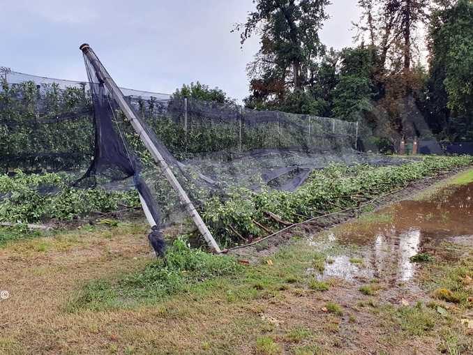 Tromba d’aria sul Cuneese: ingenti danni a frutta e cereali