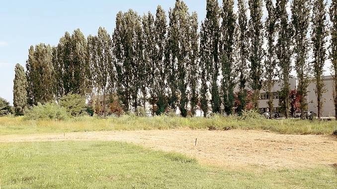 Via libera al parcheggio nella zona artigianale di Mont&agrave;