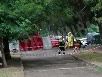 Un nido di insetti richiede l'intervento dei Vigili del fuoco