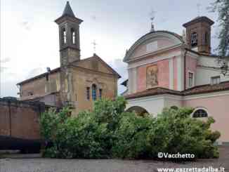Il maltempo abbatte il tiglio secolare di Piazza Falletti a Barolo