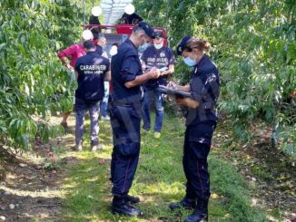 Lavoro nei campi, rispetto delle regole generalizzato ma i Carabinieri trovano 13 braccianti irregolari