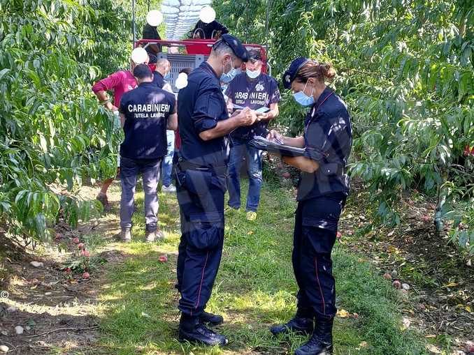 Lavoro nei campi, rispetto delle regole generalizzato ma i Carabinieri trovano 13 braccianti irregolari