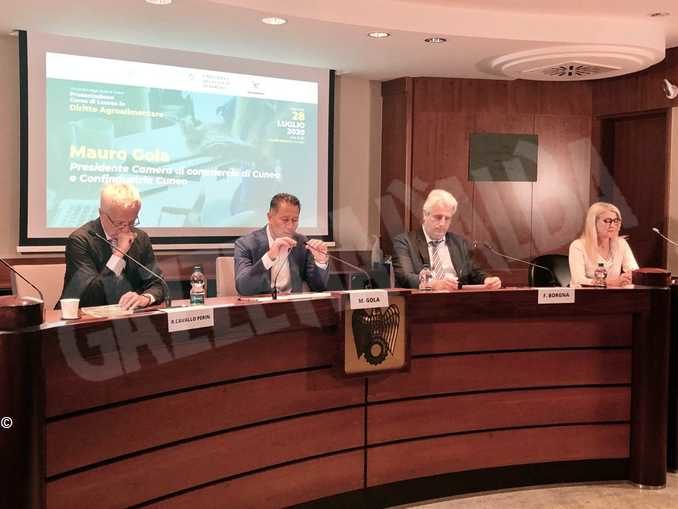 Università: nasce a Cuneo il primo corso di laurea italiano in diritto agroalimentare