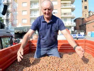 Lunedì 31, a Castagnole Lanze, appuntamento con la Fiera della nocciola e i primi prezzi dell'annata