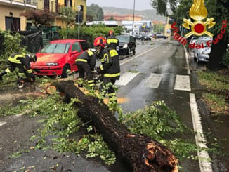 Disagi anche nel Vercellese a causa del maltempo di questa notte: caduti alberi e pali telefonici