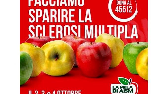 Da venerdì a domenica l'Aism vende mele nell'Albese per sostenere la lotta contro la sclerosi multipla 1