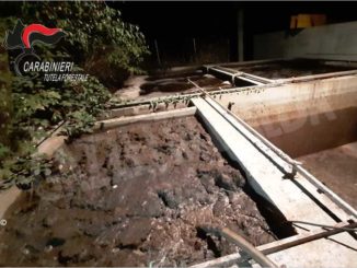 Impianto di macellazione sversava i reflui in un canale irriguo