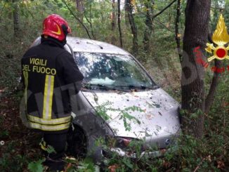 Esce di strada e finisce nel bosco: madre e figlia illese