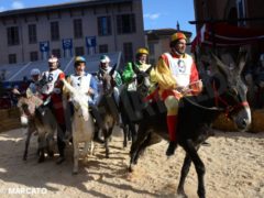 Borgo San Lorenzo vince il Palio degli asini 10