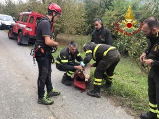 Tratto in salvo dai vigili del fuoco un cane caduto in un dirupo a Rocchetta Belbo