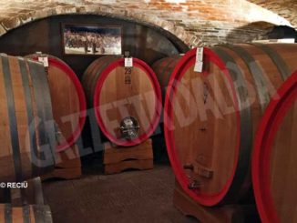 Vini di Langhe e Roero: un mito che scricchiola