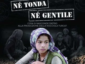 Né Tonda né Gentile il documentario di Coldiretti per scoprire la verità sulle nocciole turche