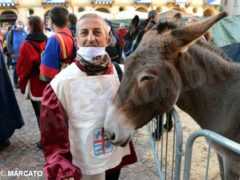 Borgo San Lorenzo vince il Palio degli asini 14