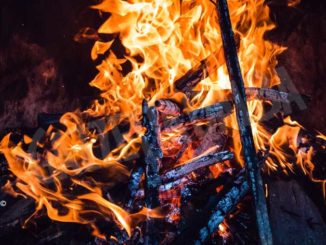 Il 1°  novembre scatta il divieto di bruciare materiale vegetale