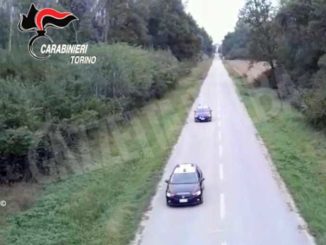 Un ettaro di piante di marijuana nel parco della residenza reale di Stupinigi