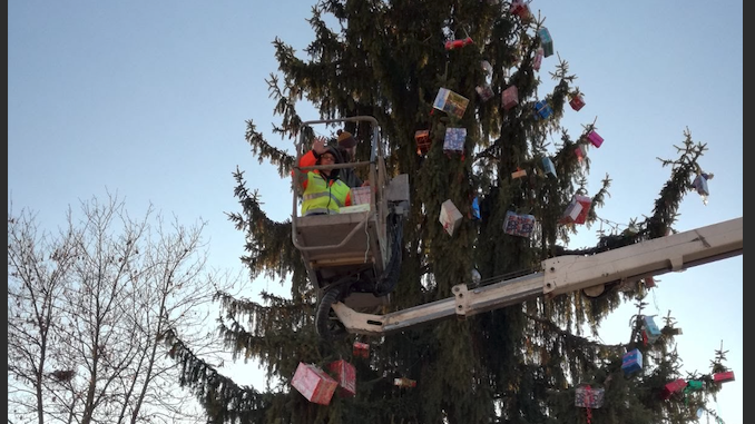 Ceresole d'Alba: sabato 5 la Protezione civile allestirà l'albero di Natale
