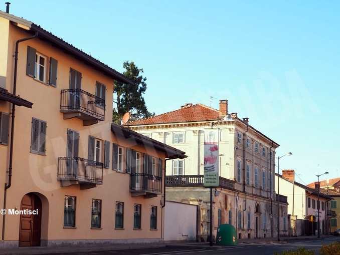 È stato abbattuto il secolare cedro del Libano della villa di via Bonissani